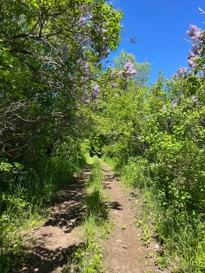 Route photo at mile 43.9