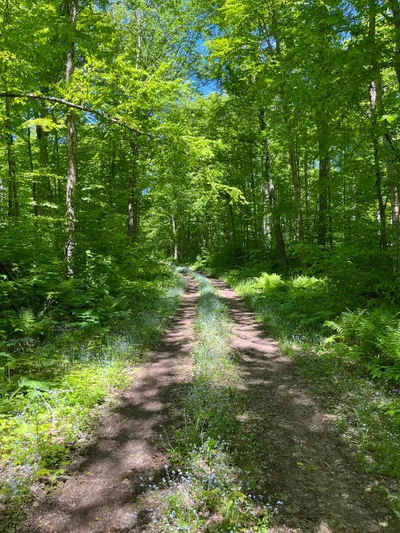 Route photo at mile 55