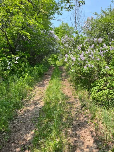Route photo at mile 43.8